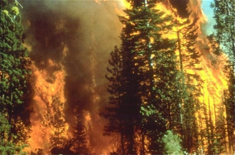 Wildfire in California - Wiki image