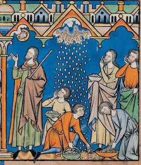 Manna from Heaven, Illustration in The Crusader Bible, France, Paris, 1240 © The Morgan Library & Museum, New York