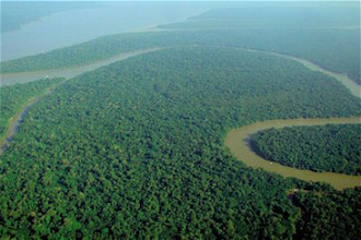 Amazonia - wiki image