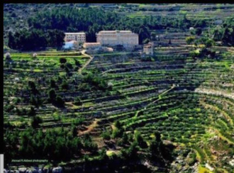 View of ancient terraces in Cremisan Valley