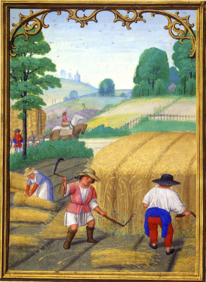 Harvest of the Wheat, Simon Bening,  Da Costa Hours,  Circa 1515 © The Morgan Library, New York