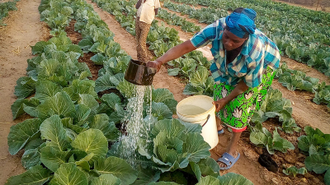 Image: Caritas Gokwe/CAFOD