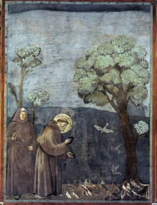 St Francis preaching to the birds - Giotto - Wiki Art