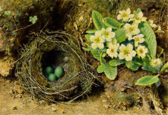 Primroses and Bird's Nest, by William Henry Hunt 1840's © Tate Britain, London