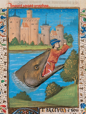 Jonah being Devoured by the Whale, from Bible of St John XXII 14C © Musée Atger, Montpellier, France