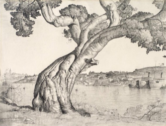 Port Jackson Fig Tree, by Lloyd Rees © Lloyd Rees Estate/Licensed by Viscopy,  University of Queensland