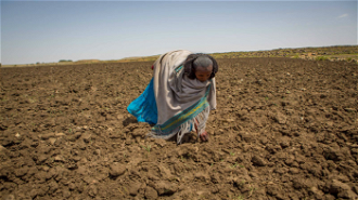 Drought in Ethiopia - image CAFOD