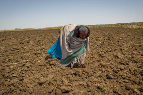 Drought in Ethiopia - image CAFOD