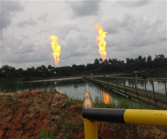 Gas flares Niger Delta - Wiki image