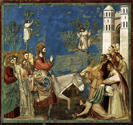 Giotto - Palm Sunday