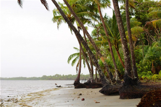 Suva, Fiji, January 2020 - threatened by rising sea levels. Photo: Marcelo Schneider/WCC