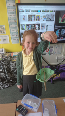 Bird feeder at St John of Beverly Primary School