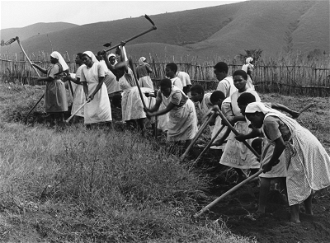 Daughters of the Resurrection Sisters working in fields. Archive Image © ACN/Karl Gähwyler