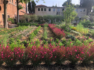 The monastic garden at San Giorgio Maggiore, showing Longstaffe Gowan's revival of the use of straw between beds of flowers and vegetables
