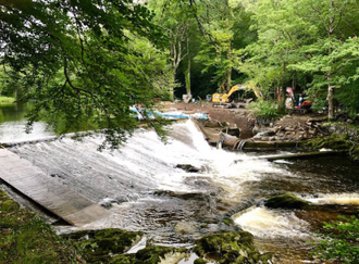 Buckfast Abbey fish pass on River Dart. Image FB