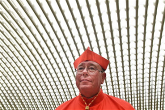 Cardinal Hollerich. Photo: Tiziana Fabi