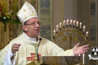 Bishop Tom Deenihan  - Image Diocese of Meath