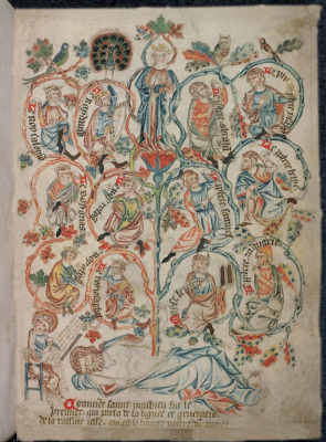 Jesse Tree with twelve Old Testament prophets and the Virgin, The 'Holkham Bible Picture Book' © British Library, London