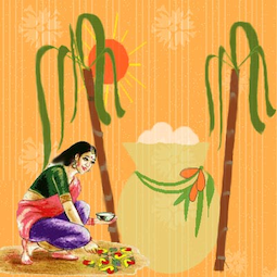 Pongal Festival, Wiki Image Ben Israel