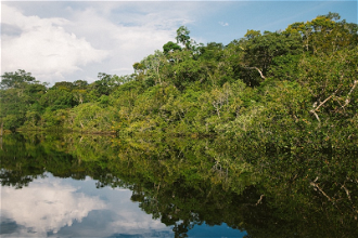 Amazonia - Photo by Nathalia Segato on Unsplash