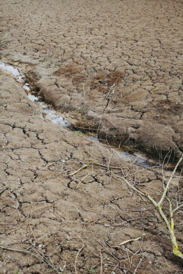 Dried up river bed. Photo by Markus Spiske on Unsplash