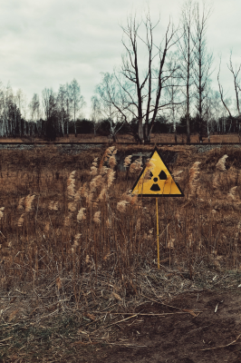 Chernobyl countryside. Photo by Oleksandra Bardash on Unsplash