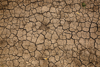 Drought - Photo by Mike Erskine on Unsplash