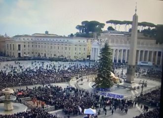 Angelus crowds in St  Peter's Square - screenshot