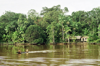 Amazonia - wiki image