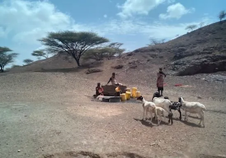 Waiting for water in a parched landcape