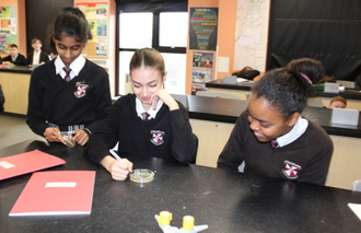 Young scientists.  Image: St Paul's High School