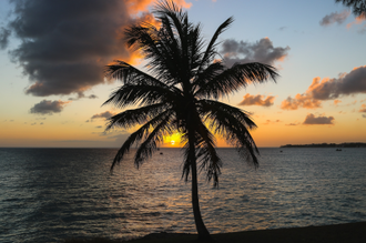 Photo by Brian Yurasits on Unsplash