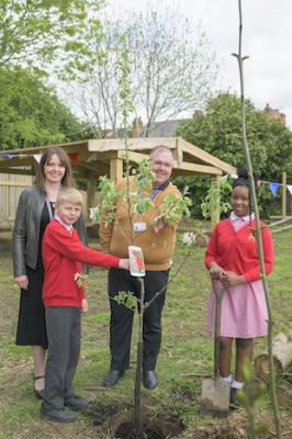 Coronation tree planting