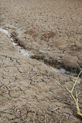 Kenya riverbed - Photo by Markus Spiske on Unsplash