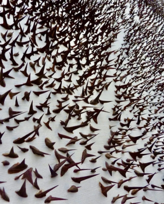 Acacia thorns on white canvas, Giuseppe Penone, 2002 © Penone & Sothebys, 9/12/2015, lot 28