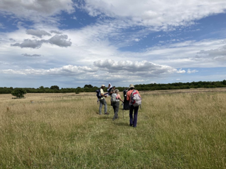 Auugustine Camino through Kent countryside