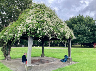 St Chad's Well