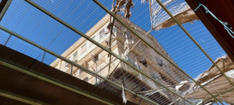 Wire mesh between  Sider family and settlers home