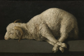 Lamb of God, Agnus Dei, by Francisco de Zurbarán, 1635  © Prado Museum, Madrid