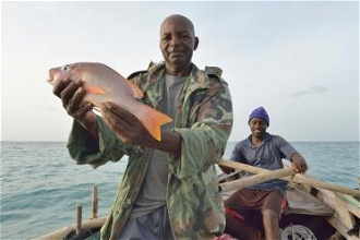 Marcilien Georges pulls in fish in a small fishing boat off the coast of northwestern Haiti near village of Plateforme. Photo: Paul Jeffrey/Life on Earth