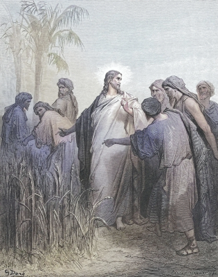 The Disciples Pick Corn on the Sabbath, by Gustave Doré, 1866-70 © Private Collection, London