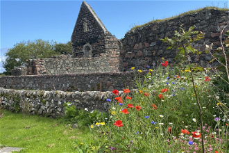 Ruins of  Iona Nunnery, an Augustinian convent founded around 1203.  Image ICN/JS