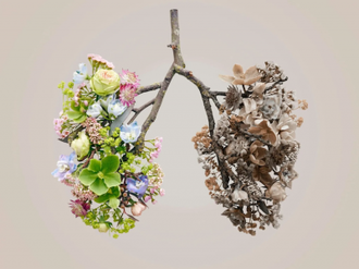 Spring flowers with lungs, Digital artwork 2018 © Science Photo Library / Alamy Stock Photo