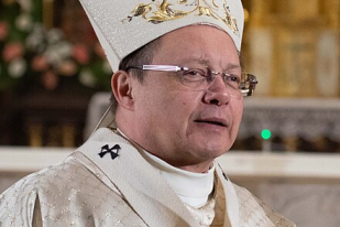 Cardinal Grzegorz Ryś