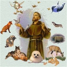Image: Catholic Action for Animals