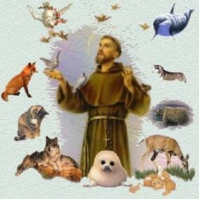 Image: Catholic Action for Animals
