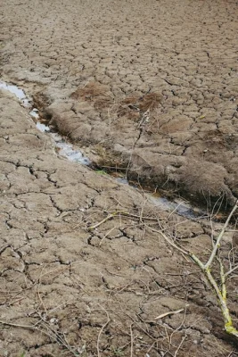 Dried up river bed. Photo by Markus Spiske on Unsplash