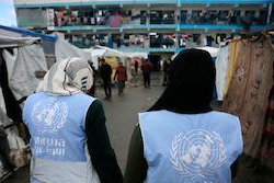 Instead of being filled with children learning, UNRWA schools have been turned into shelters in Gaza for displaced families