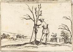 Gardener Pruning a Tree, Etching by Jacques Callot,  1628 © National Gallery of Art, Washington