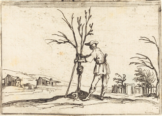 Gardener Pruning a Tree, Etching by Jacques Callot,  1628 © National Gallery of Art, Washington